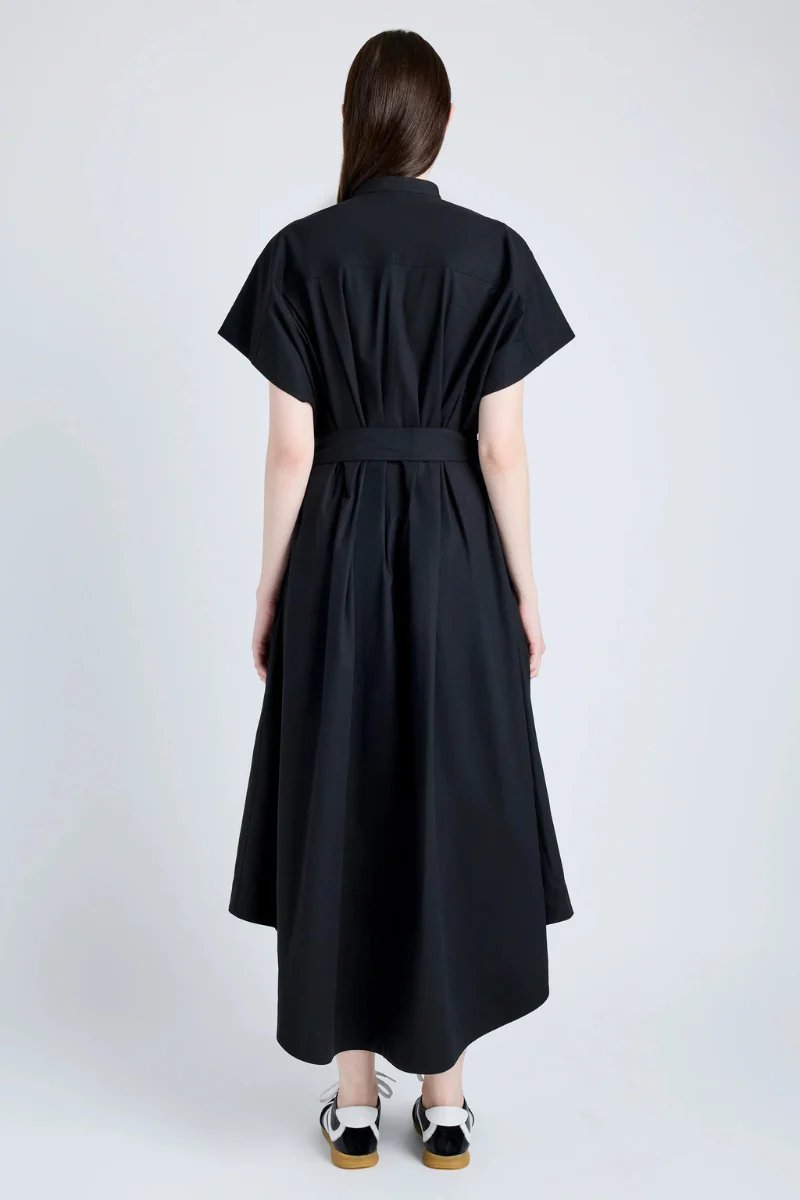 Walker Dress - Image 4