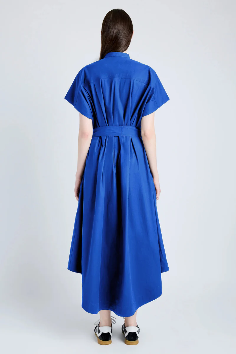 Walker Dress - Image 8